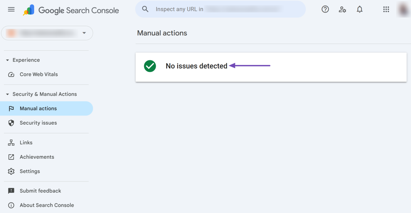 Sample of the Manual actions section of the Google Search Console