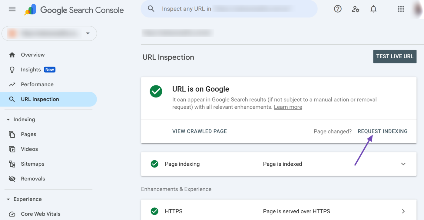 Sample of the Request Indexing field