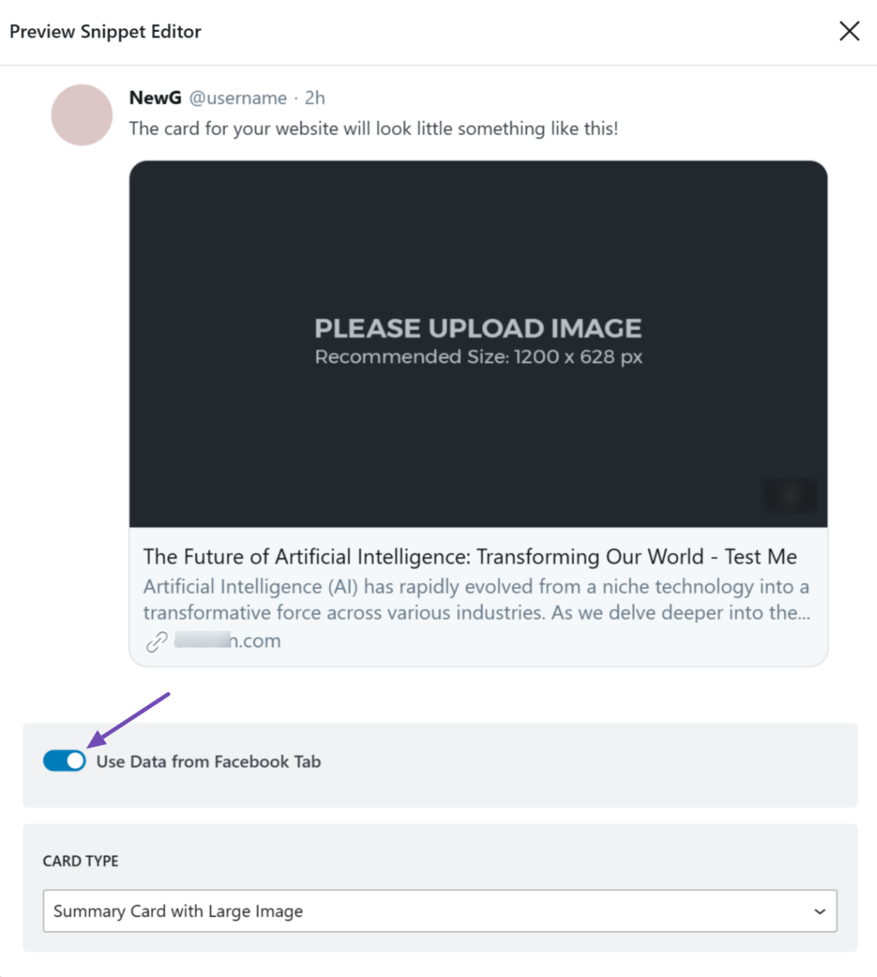 Preview Twitter card Rank Math