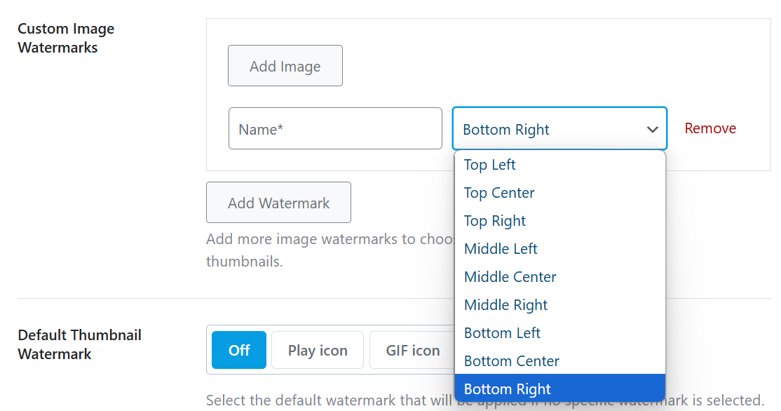 choose custom image watermark position