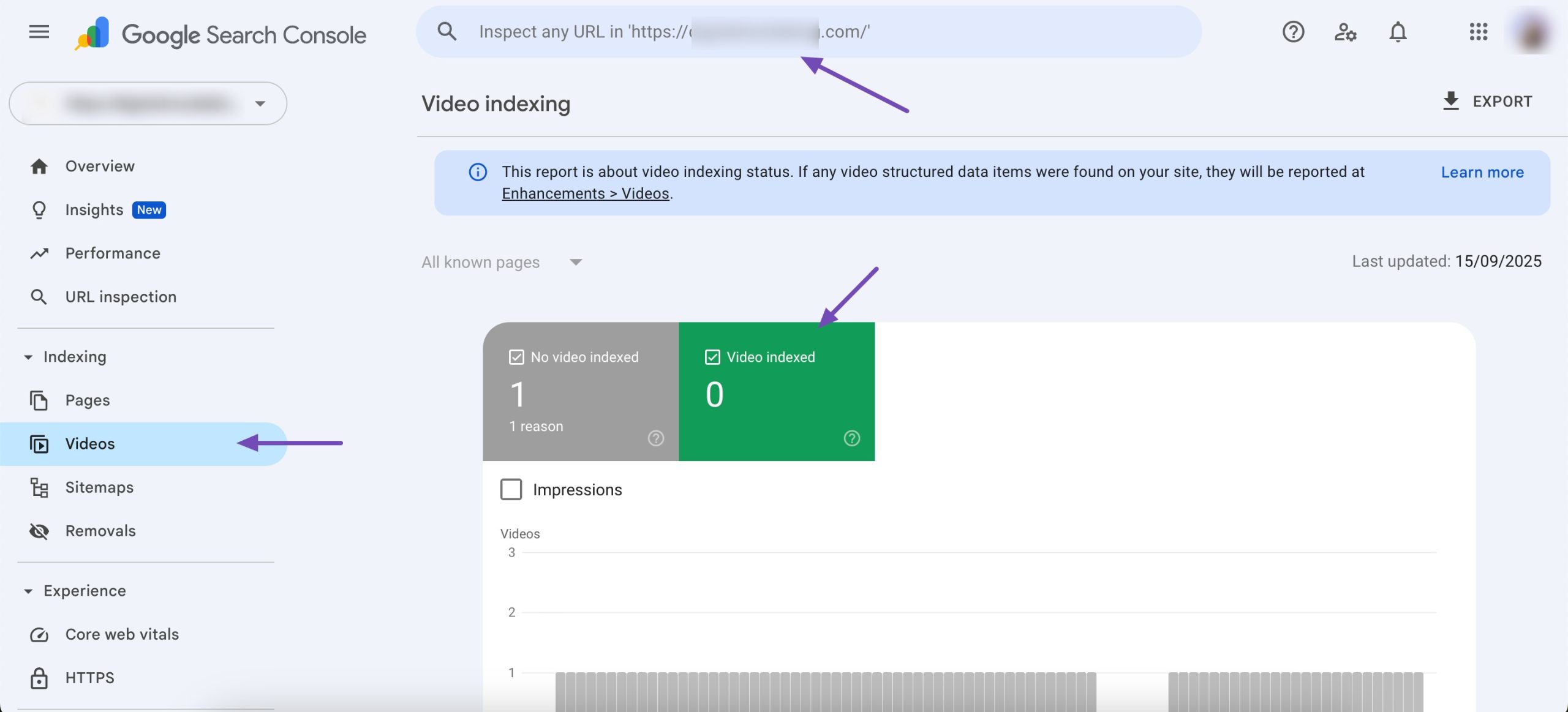 Check if the video is indexed in Google Search Console