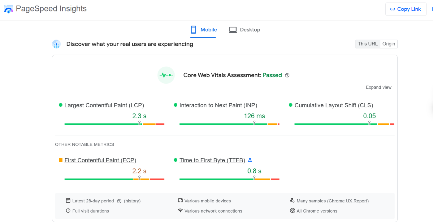 website speed test on pagespeed insights