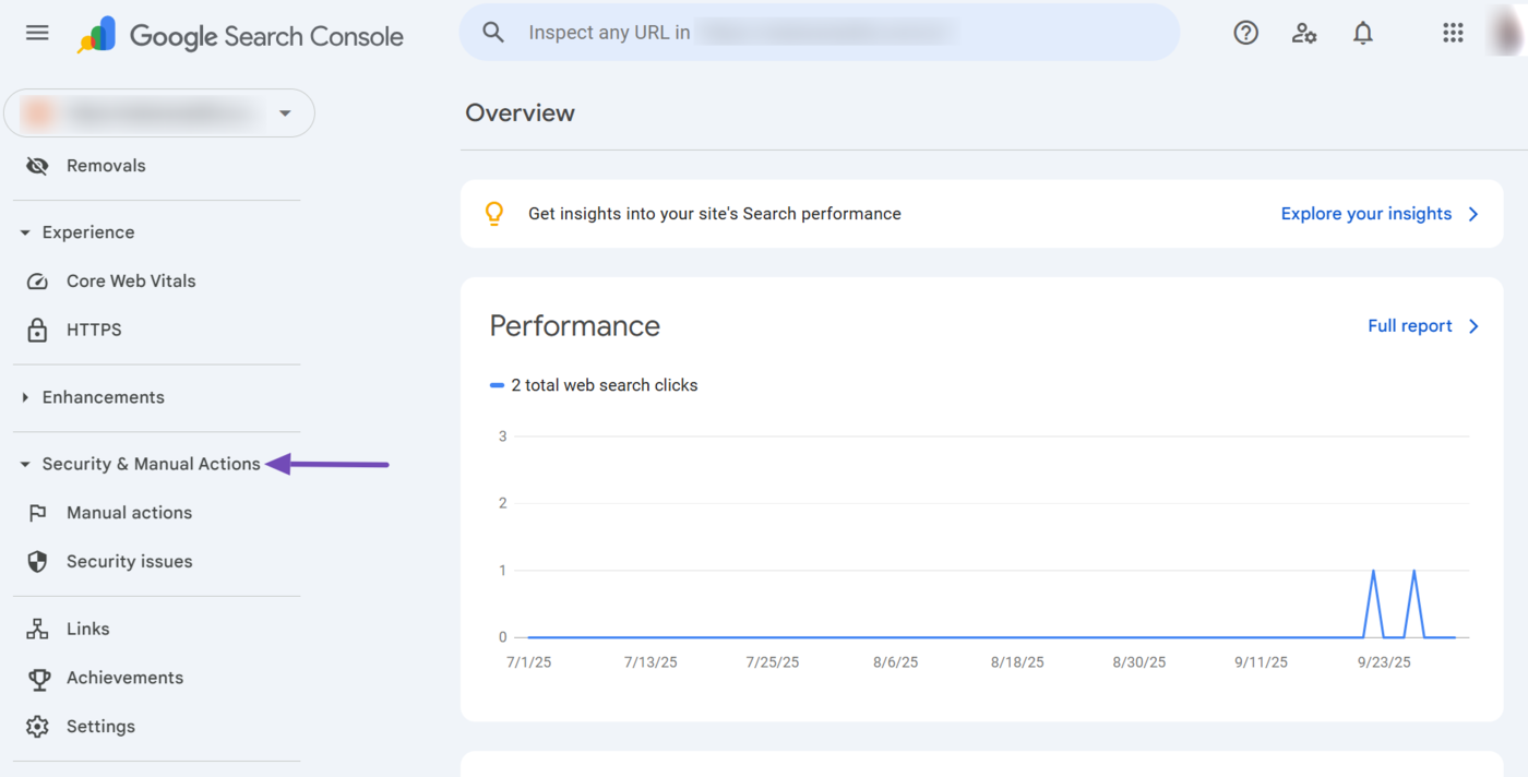 Overview of the Security & Manual Actions dropdown