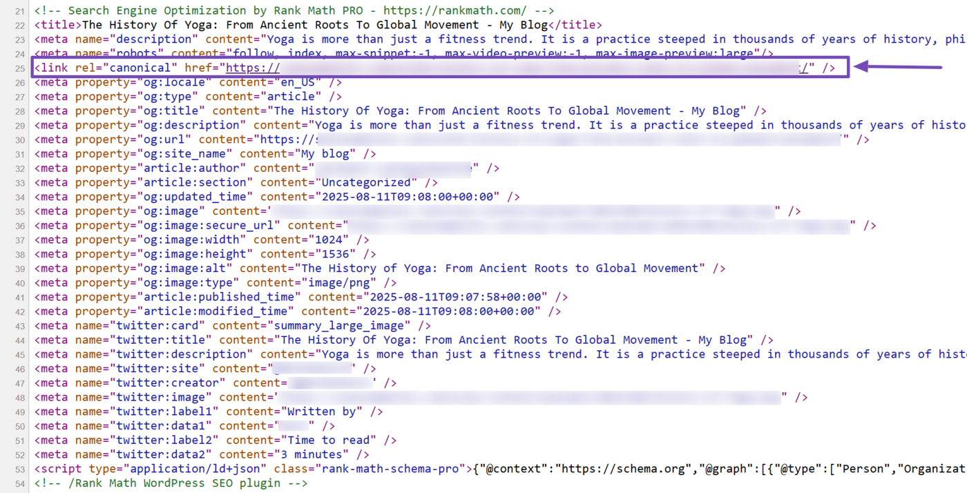 Sample of a canonical URL on a webpage