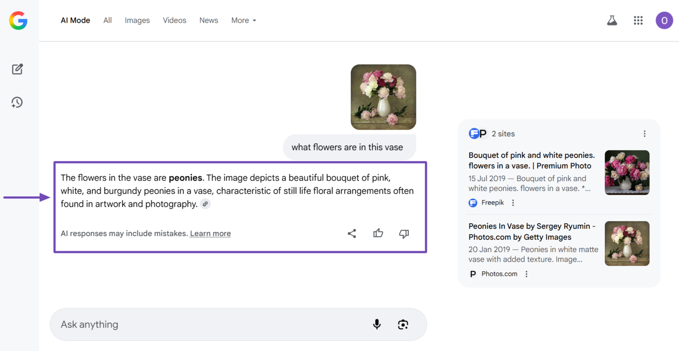 Sample of a text only response AI Mode returned for a query