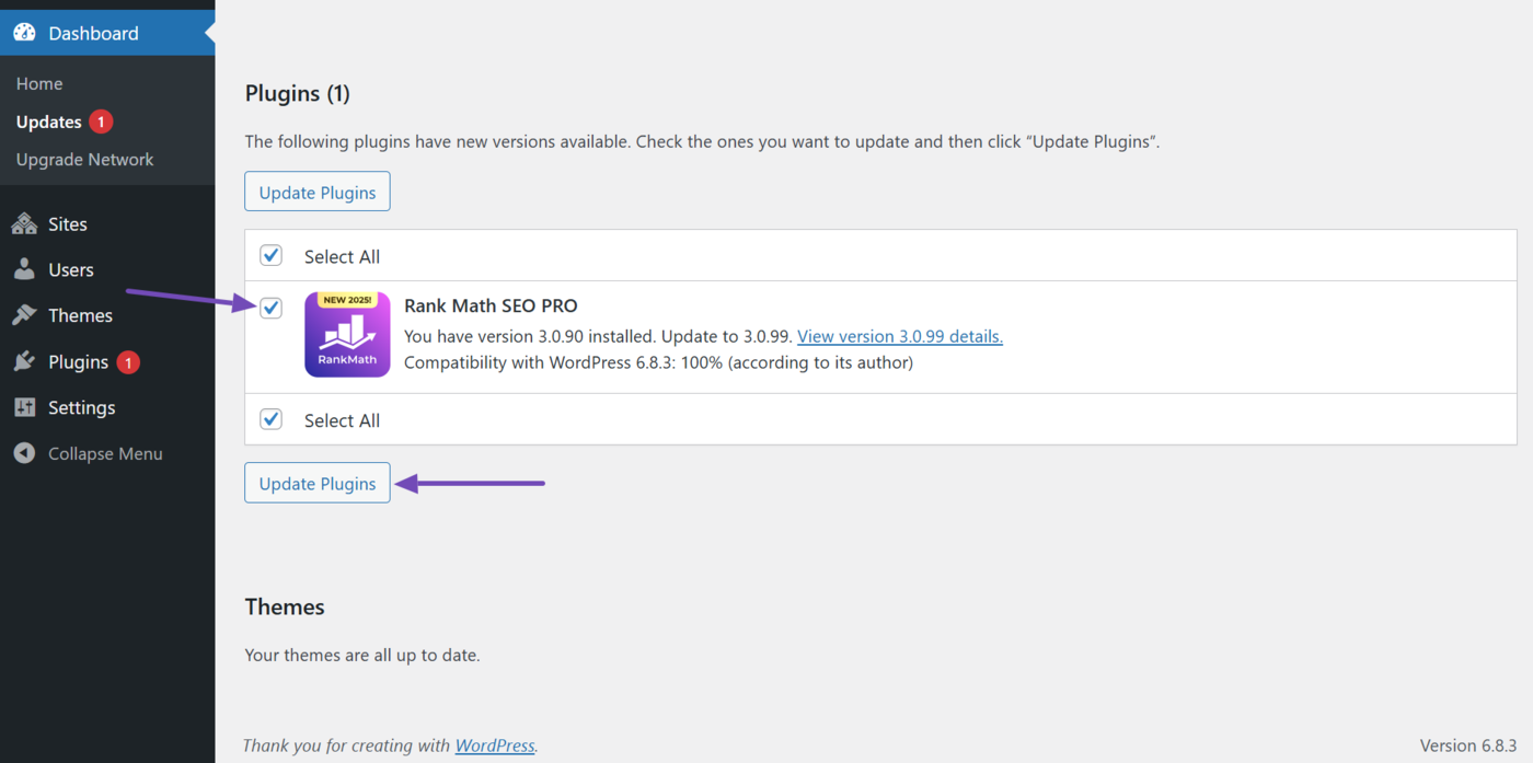 Select the Rank Math PRO checkbox and click Update Plugins