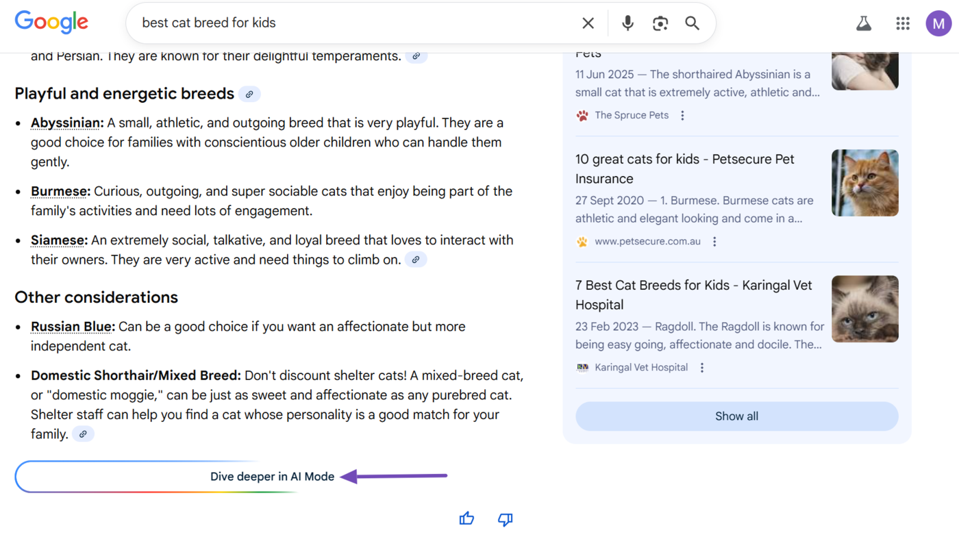 Sample of the AI Mode option in AI Overviews