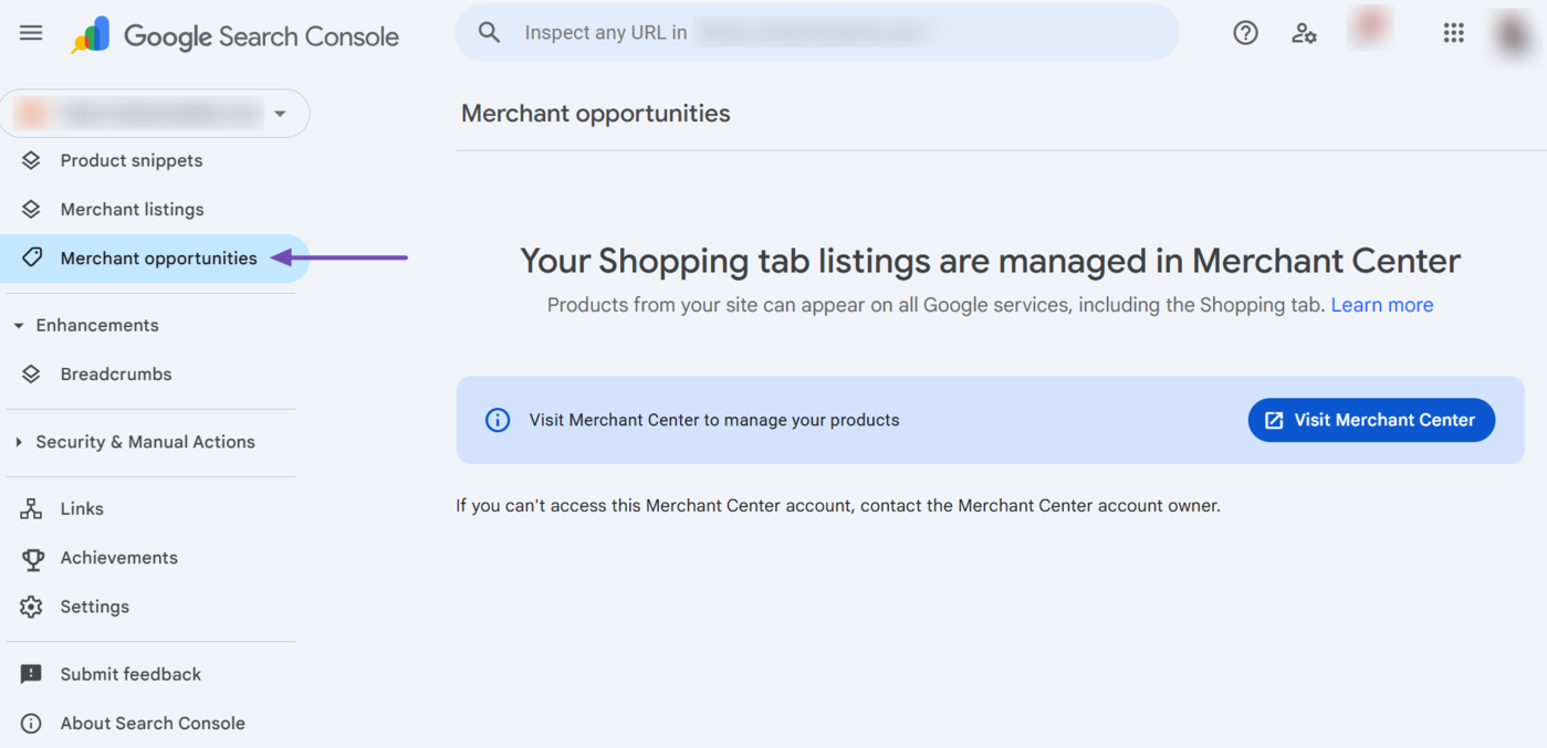 The Merchant Opportunities report in Google Search Console