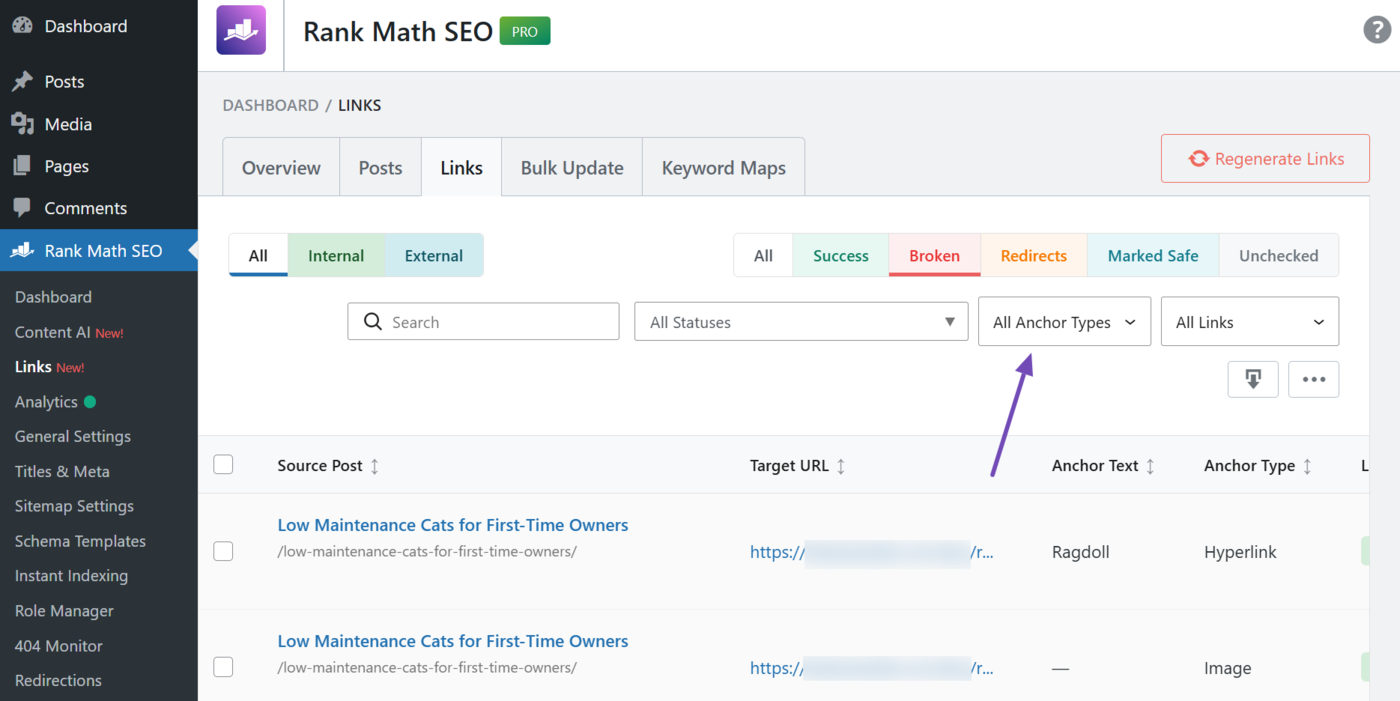 Anchor type filter in the broken links report