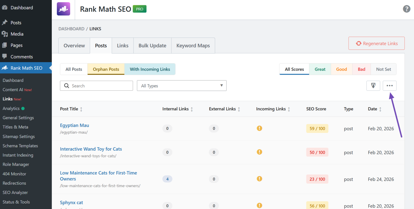 Click the options menu in the orphan page report