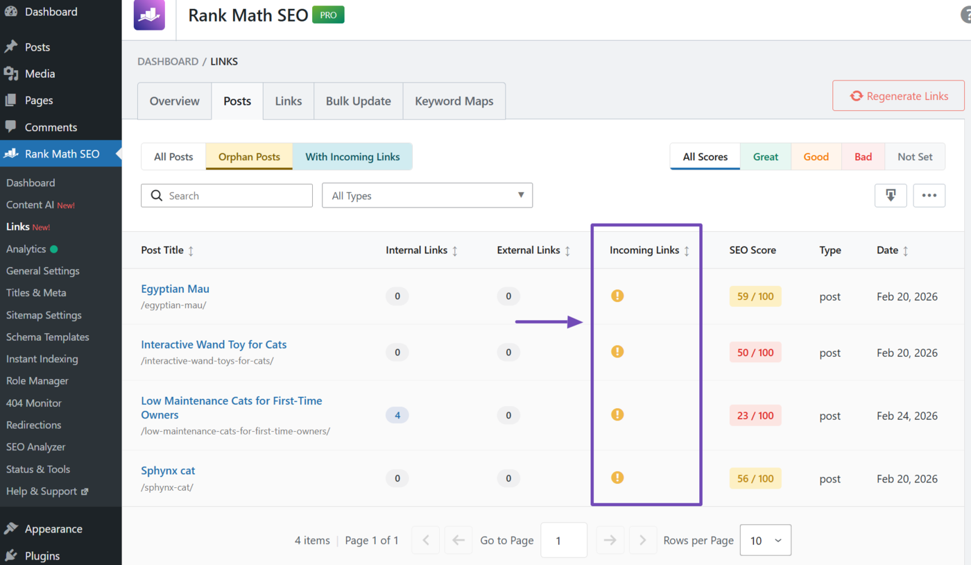 Overview of the orphan pages on a site