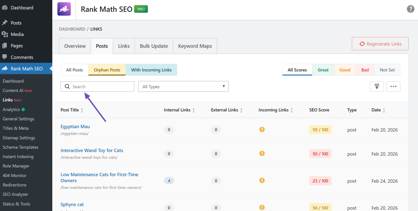 Overview of the search bar