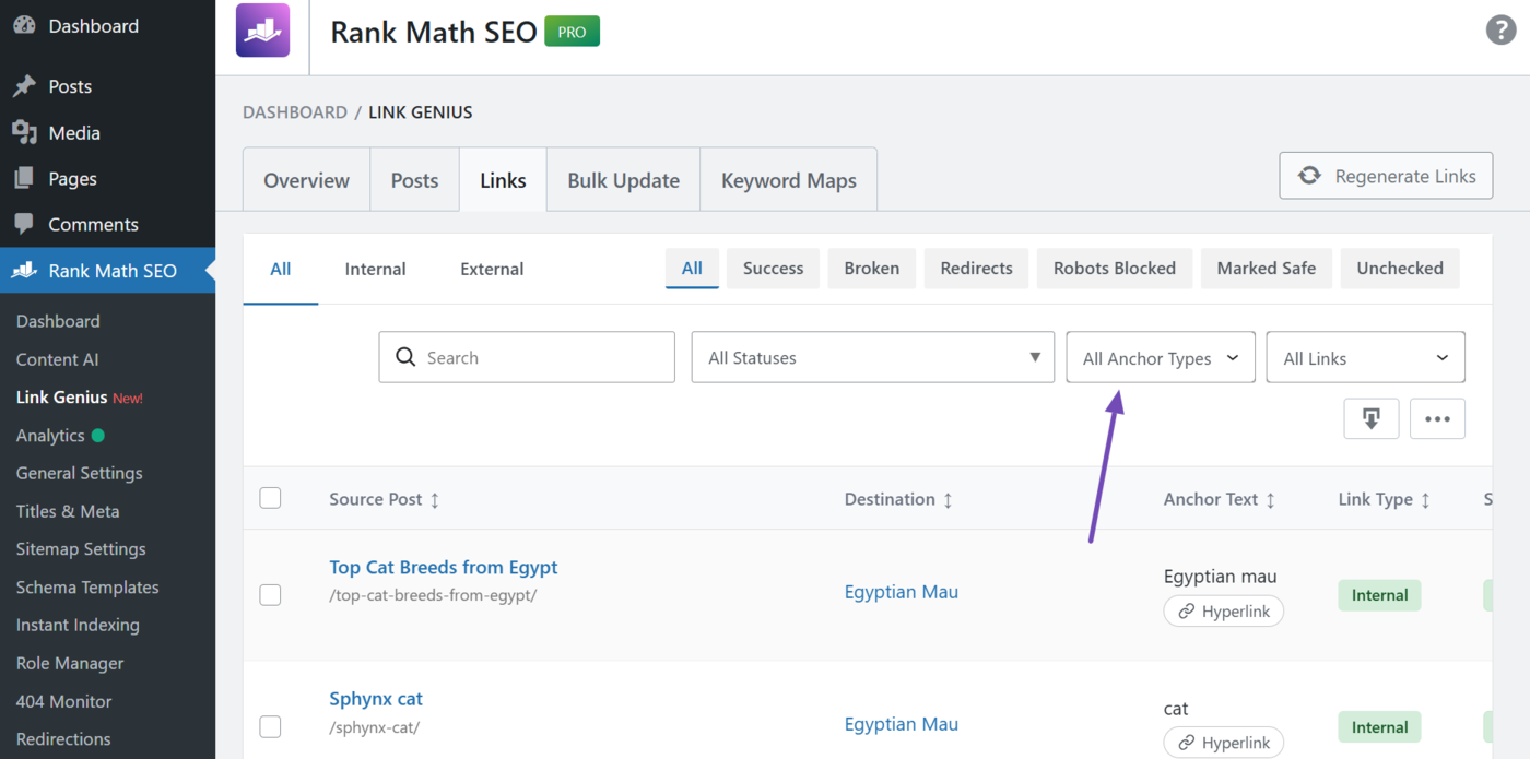 Anchor type filter in the links tab