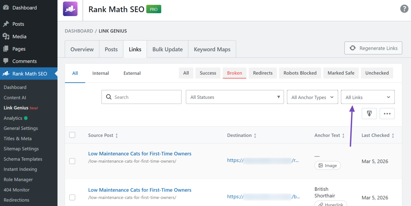 Broken links nofollow status filter