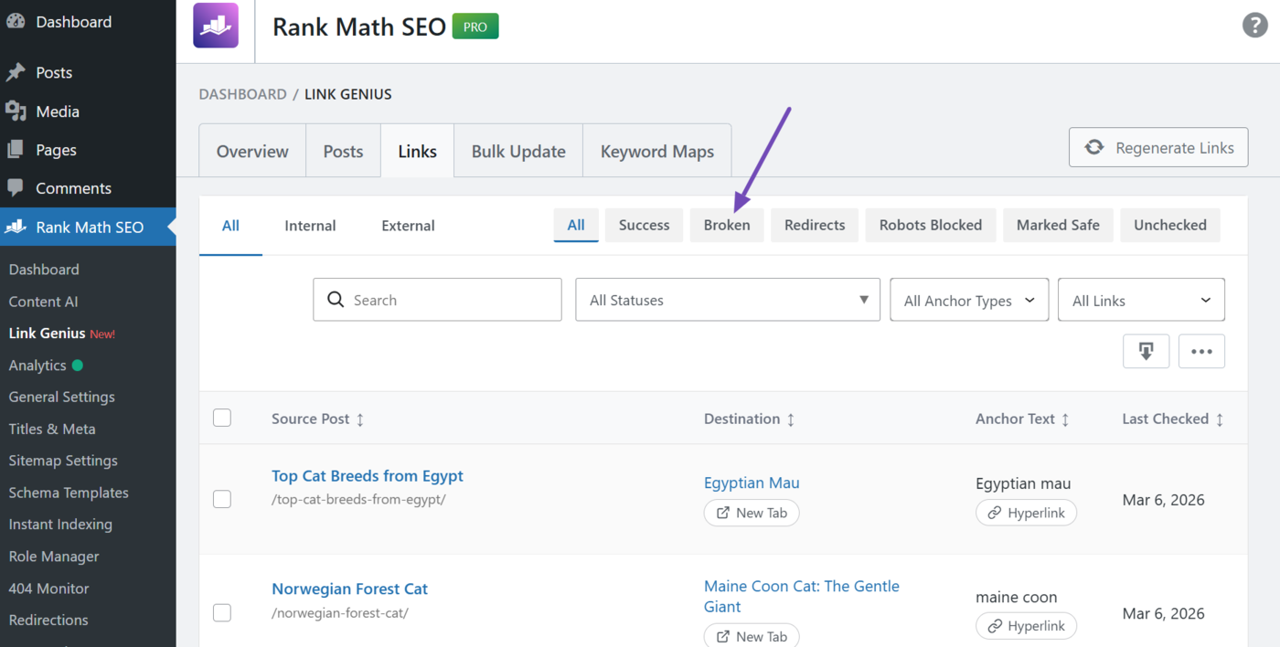 Click the Broken Links filter