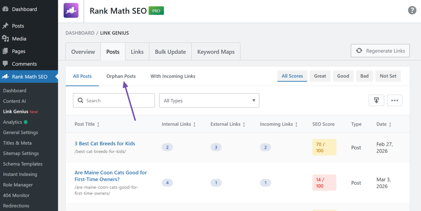 Click the Orphan posts filter