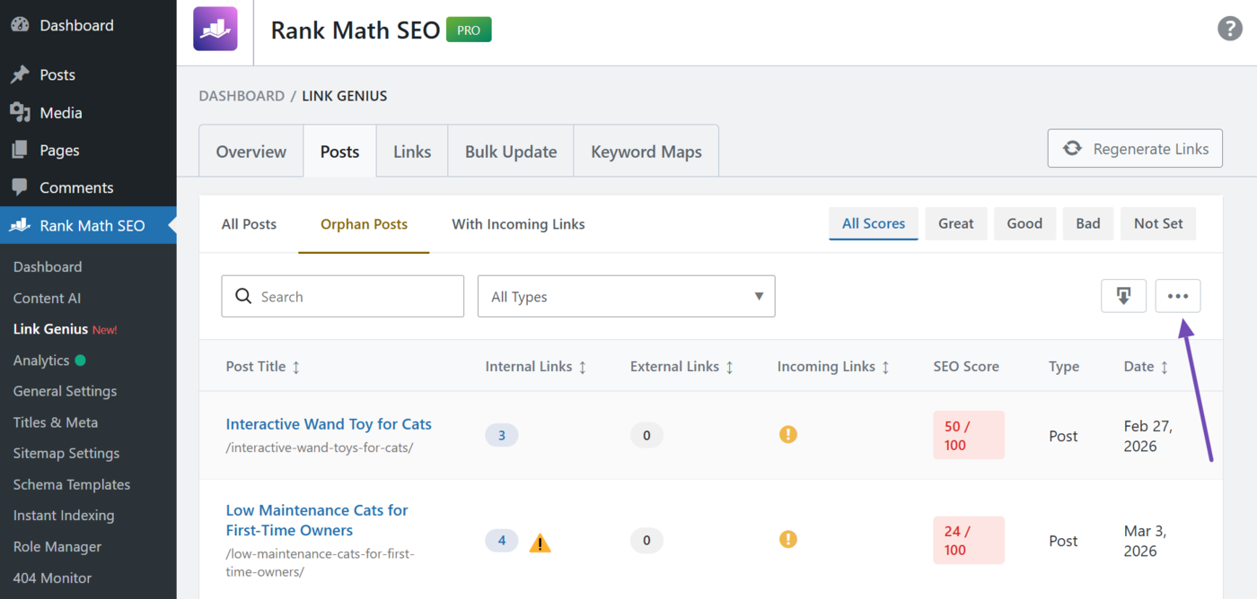 Click the options menu in the orphan page report