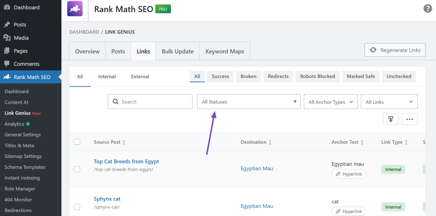 HTTP status filter in the links tab