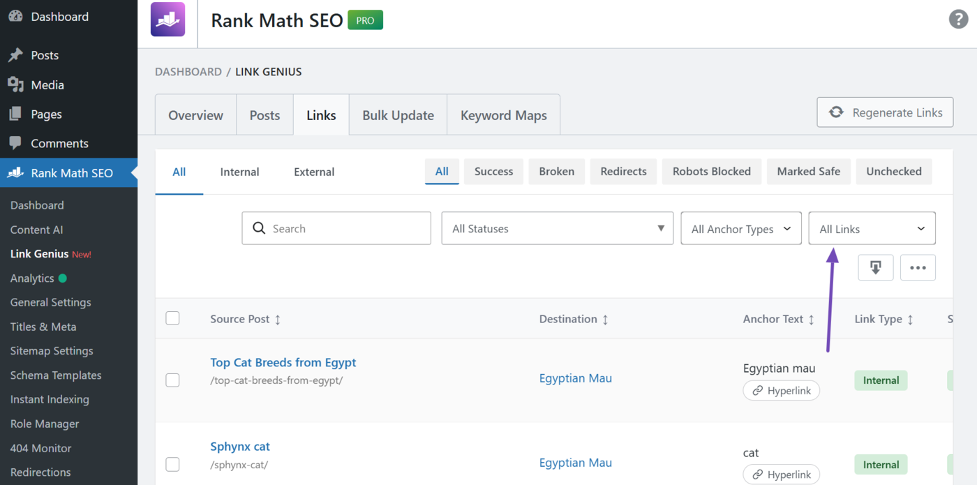 Nofollow status filter in the links tab