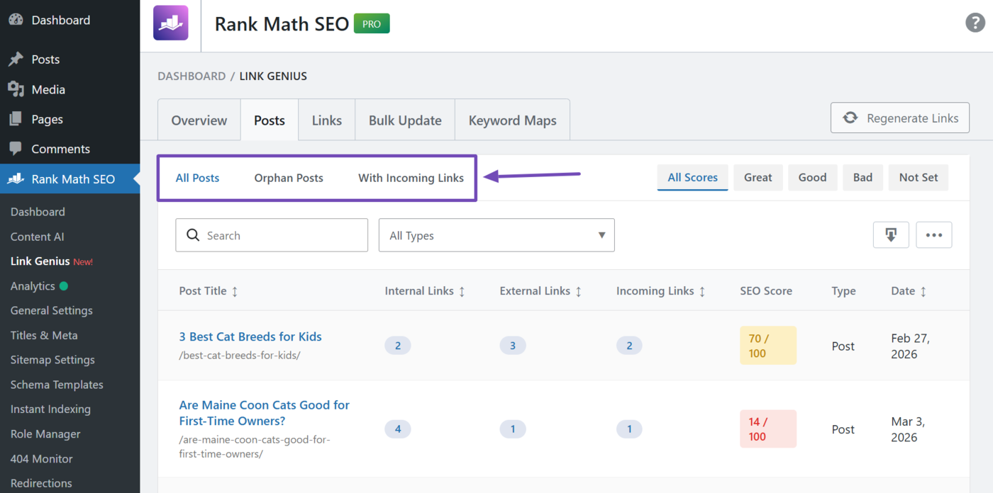 Orphan status filter bar in the posts tab