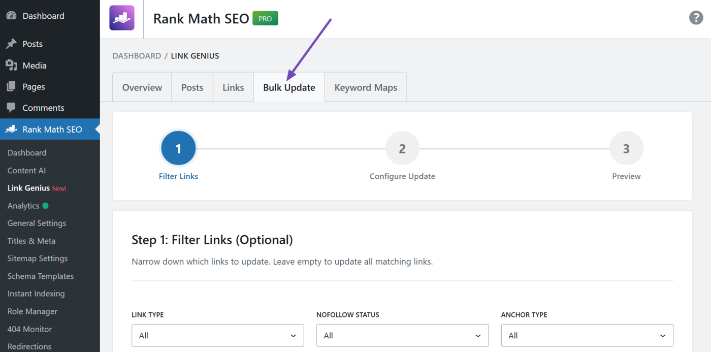 Overview of the Bulk Update tool in AI Link Genius