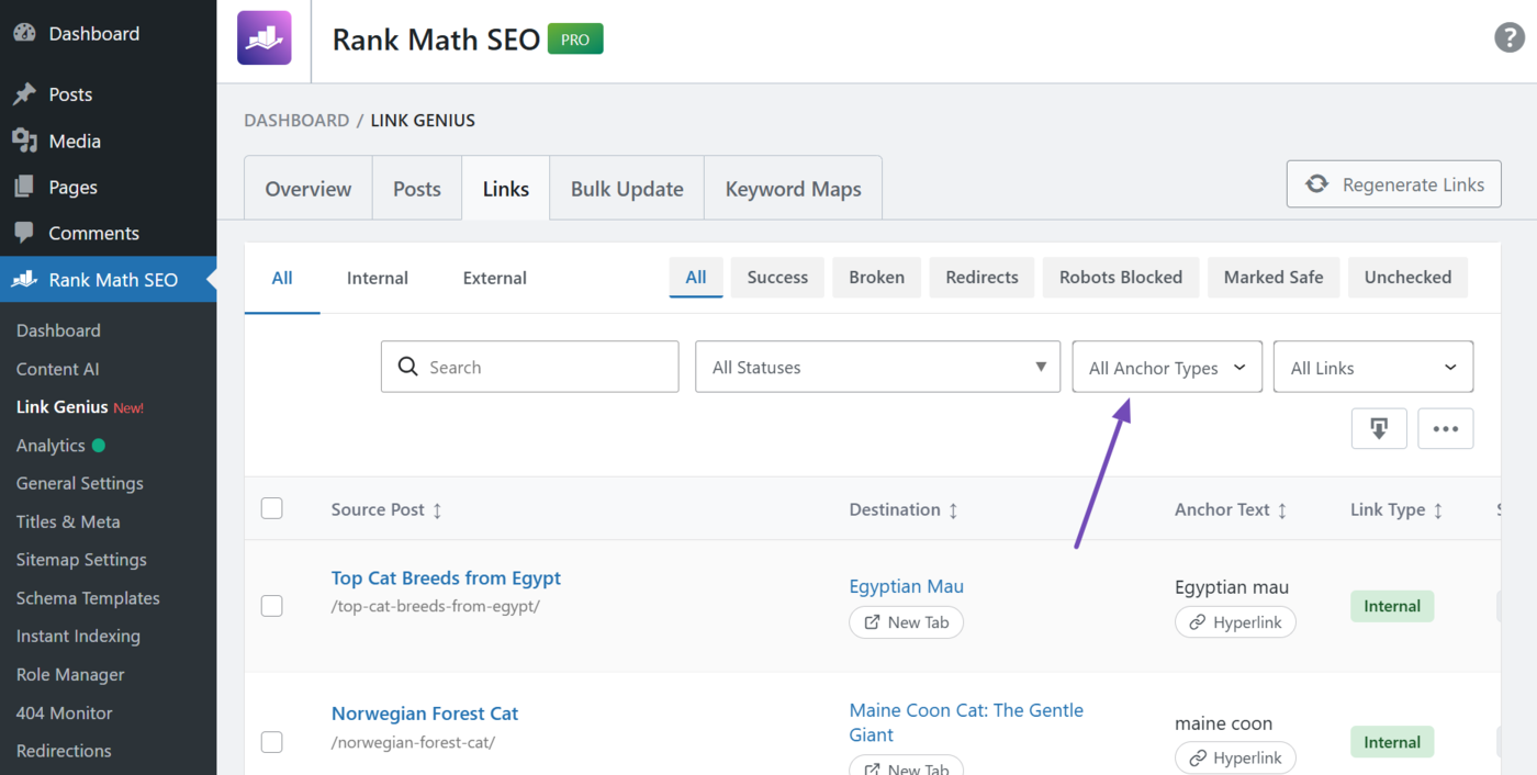 Overview of the anchor type filter