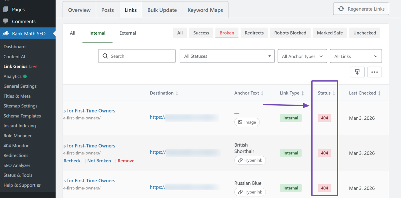 Overview of the broken internal links on your site
