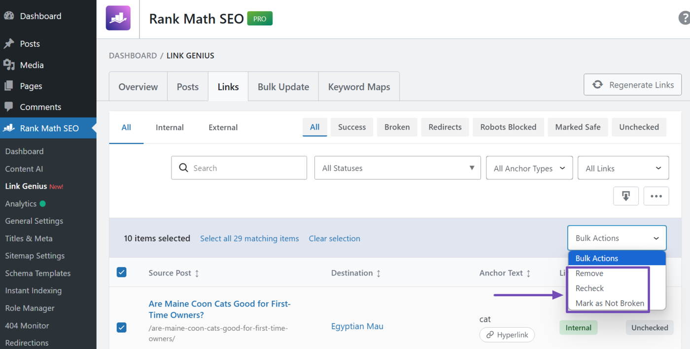 Overview of the bulk actions options in AI Link Genius