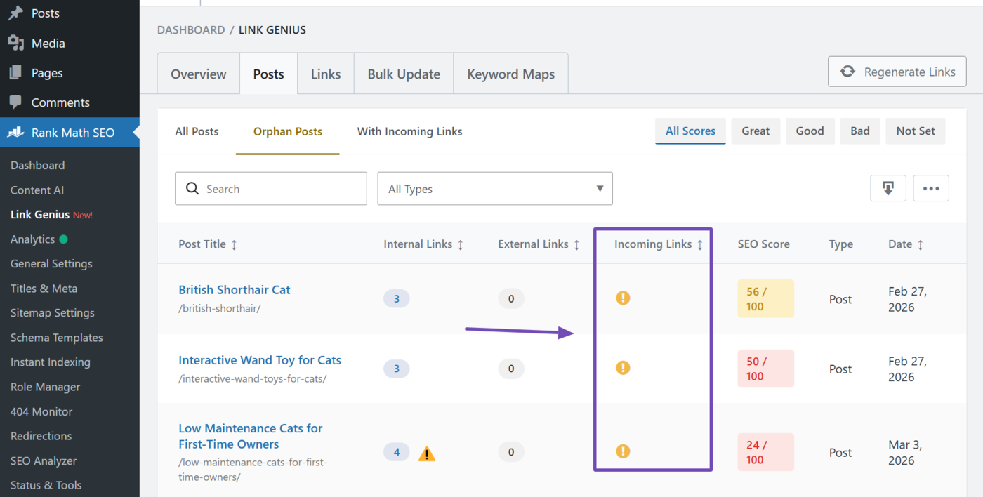 Overview of the orphan posts on a site