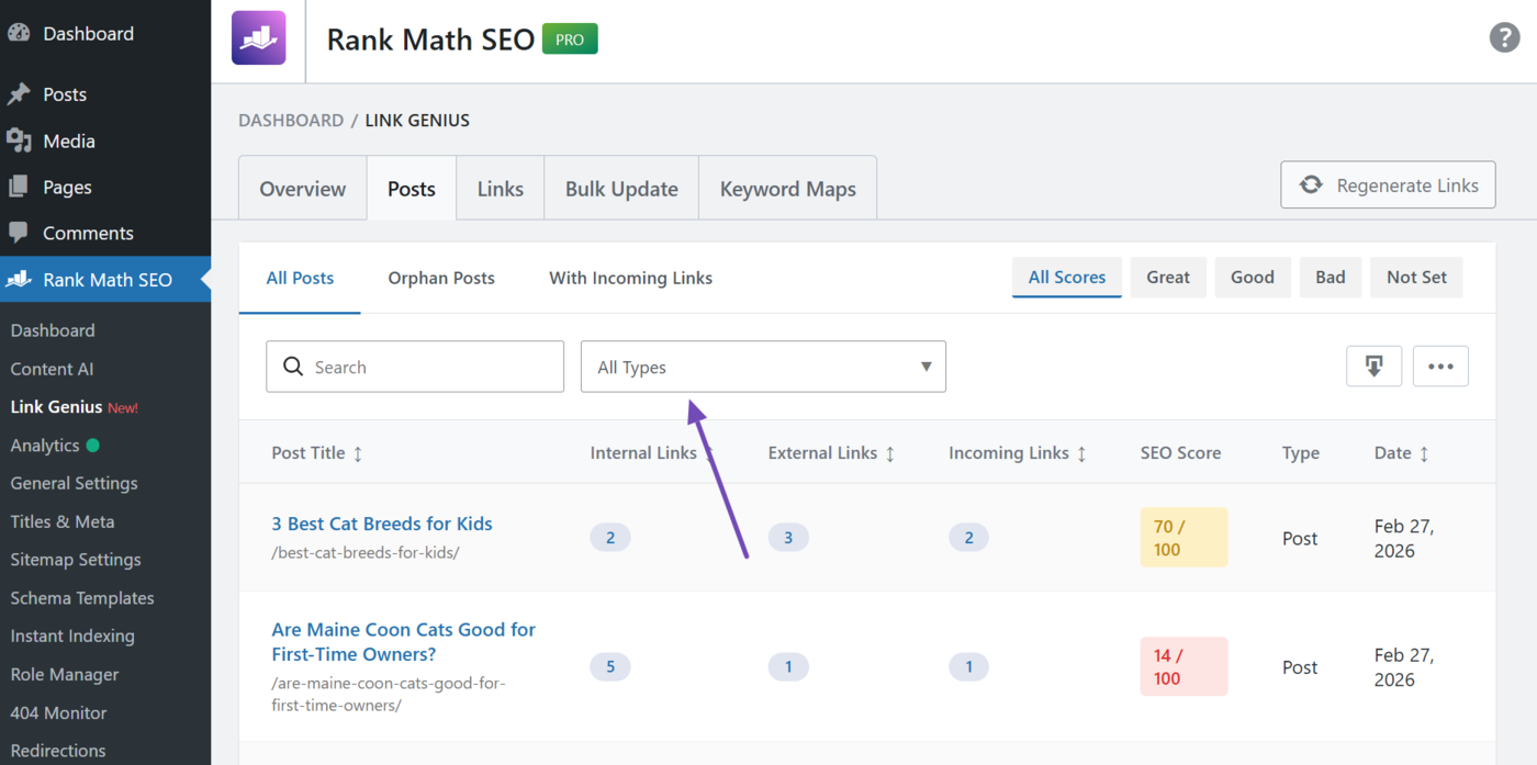 Post type filter in the posts tab
