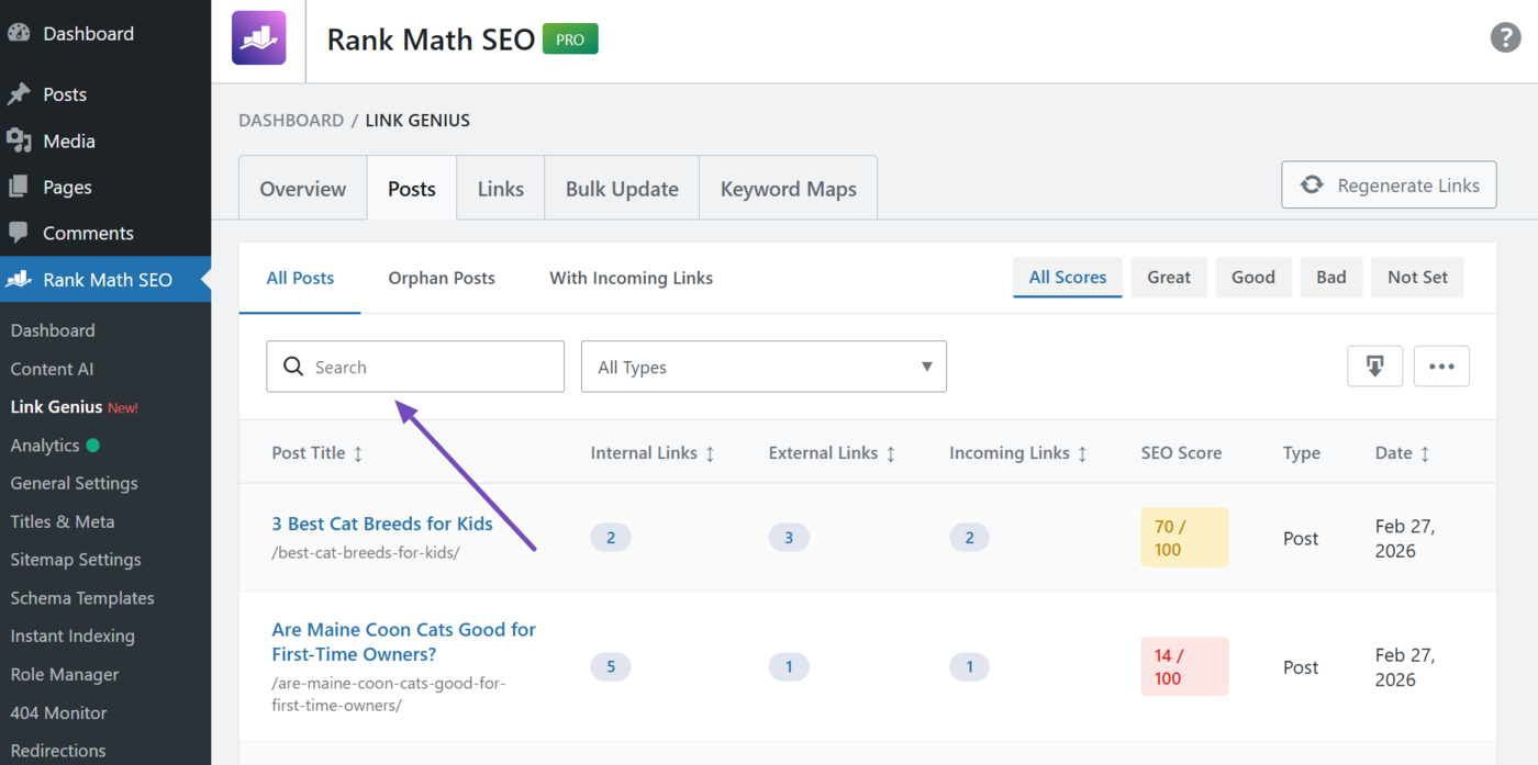 Search bar in the posts tab