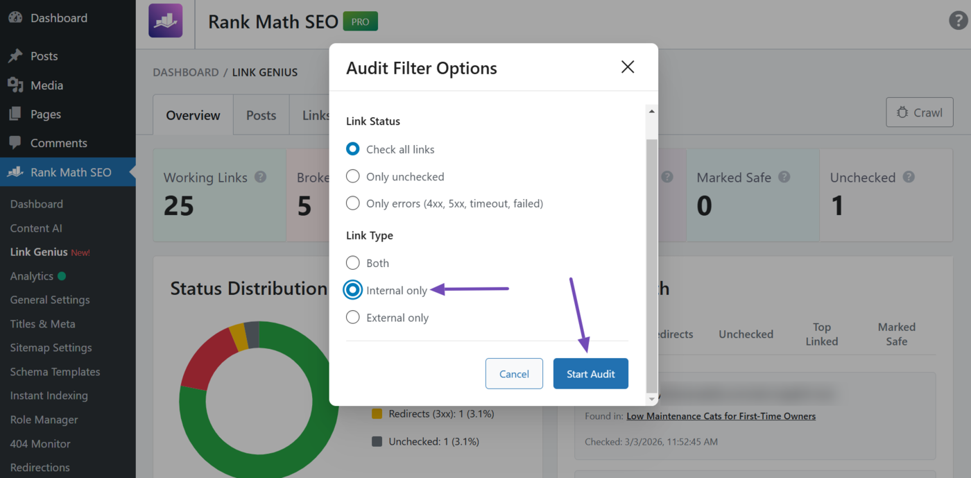 Select Internal Only and click Start audit
