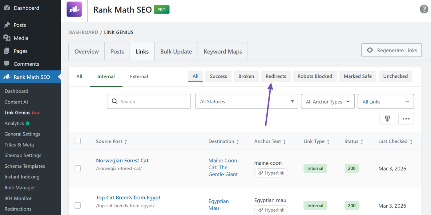 Select the redirects filter