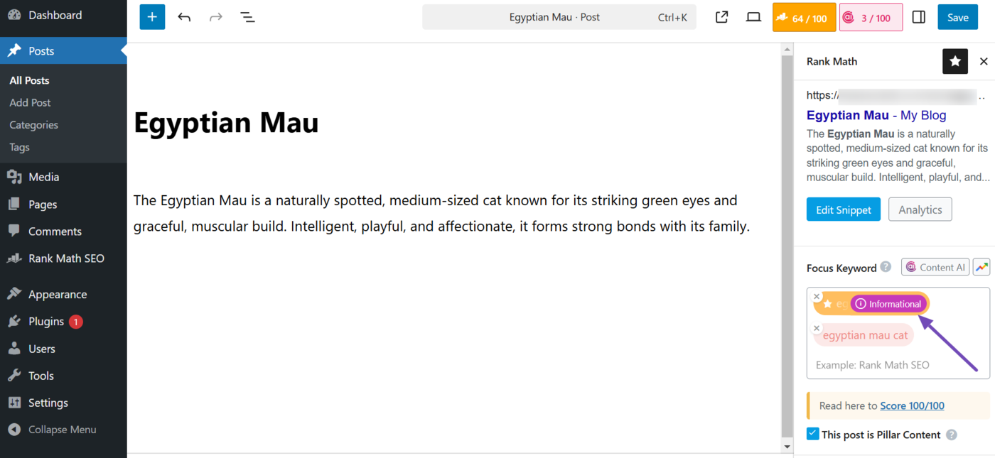 Search intent feature