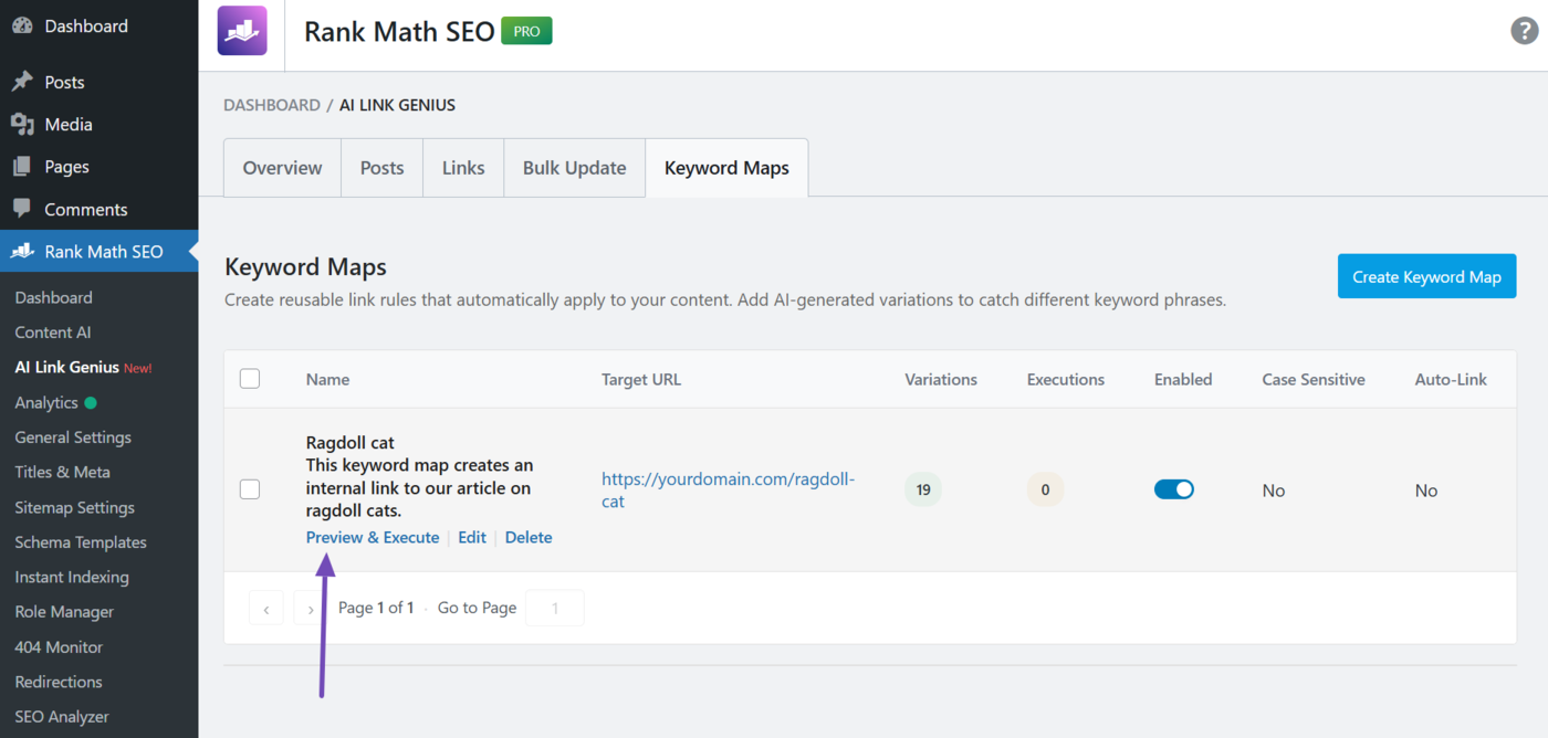 Click Preview & Execute