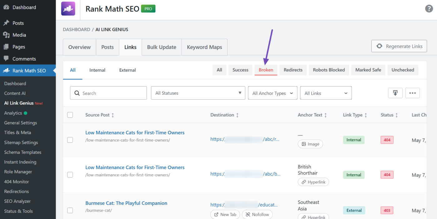 Click the Broken link filter to view your broken links