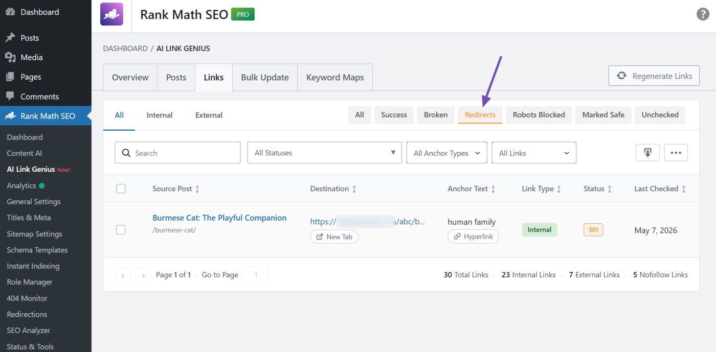 Click the Redirects link filter to view your broken links