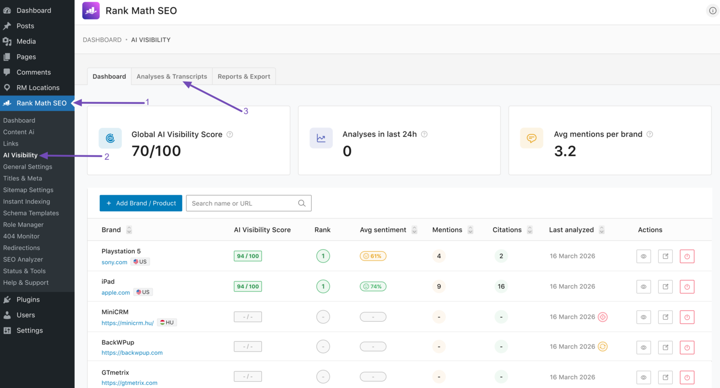 Head to Analyses and Transcripts in AI Visibility