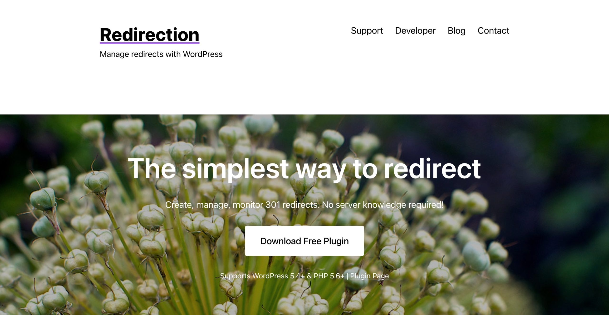 Redirection plugin