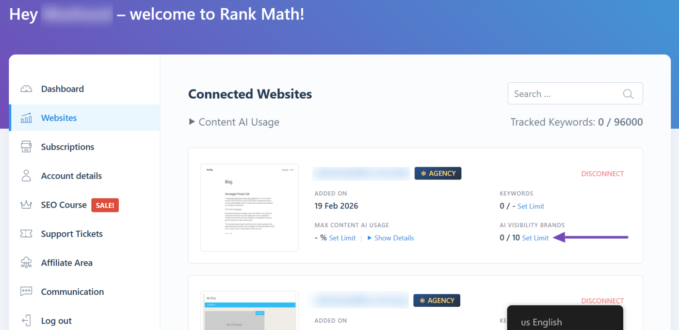 Click Set Limit to assign an AI Visibility brand tracking limit